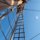 Up You Go! by Gregory Auberry