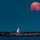 Moon by John Harrison