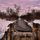 Looking upstream by Steven Pavlick