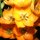 Oh So Lovely by Brenda Bolton