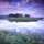 Glorious Gooseneck by Ray Mathis