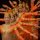 how many hands by jon radtke