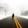 [don't] take the road less travelled  by brian crissie
