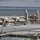 How About a Nice Cold Pier by Sheryl Thomas