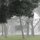 Foggy Morning by Emily Logue