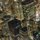 Soaring Over Golden Chicago (Aerial) - 2010 by Joe Lekas