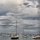Harbor by James Watkins