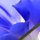 Blue Swirl One by Debbie Davidson