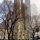 Classic Chicago by MARLA Urbanek