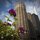 Chicago Flora by Yvette Fevurly