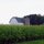 Lost in a corn field by Aaron  Kernes