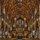 Holy Name Cathedral Organ - Chicago 2010 by Joe Lekas