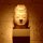 Zen by Duane Rapp