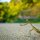 Praying to cross the road safely by Bob Haaarmans