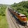 BNSF by David Neesley