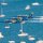 312 - Blue Angels Flying in Formation by Peter Tsai
