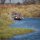 pioneer canoeing by jon radtke