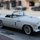 T-BIRD by David Neesley