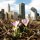 Chicago in bloom by Eliana Eissler