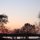 Bare Trees Decorating the Sky Against the Sun by Julie Jerzyk