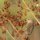 Palm Warbler 4 by Robert Kramer