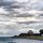 Shedd by James Watkins