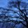 Blue Dusk by Sheryl Thomas