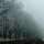 Freezing-Fog II by Russ Williams