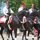 3 black stalllons by jon radtke