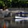 Docked at St. Charles by Theresa Cramer
