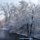 Frosty Snow by Maureen Rueffer