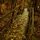 Matthiessen State Park by Francisco Montes