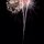 Fireworks by Nikki Johnson