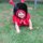 Cute & Crawling by Dana A Mammoser