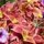 fire plants at the lake by jon radtke