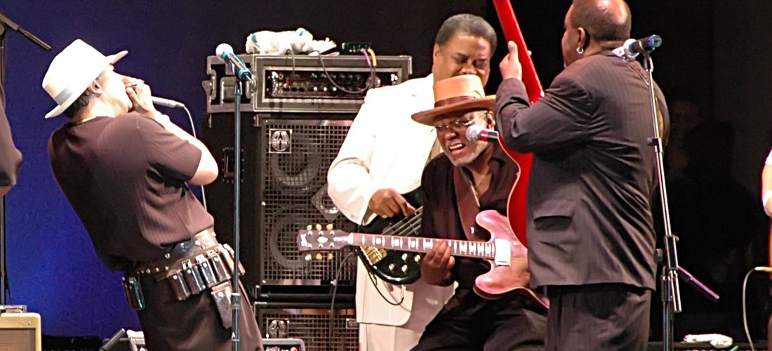 They Got The Blues!!!! by Duane Rapp