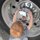 His Wheels are always spinning! by Dana A Mammoser