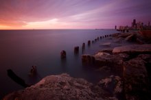 Early Bird by Jonathan Robson