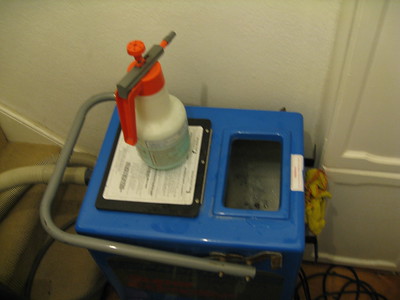 gold coast carpet cleaner