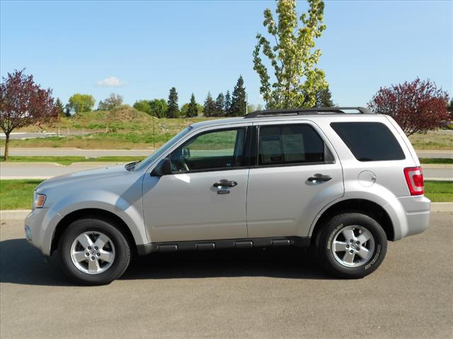 Photo of 2010 Ford Escape