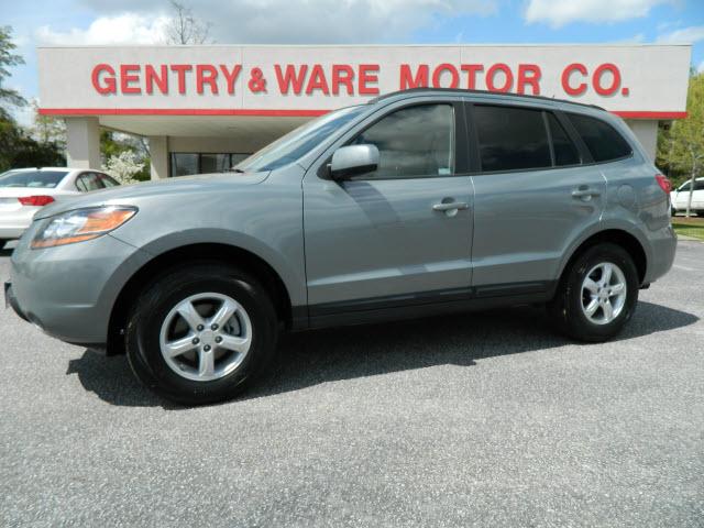 Photo of 2008 Hyundai Santa Fe