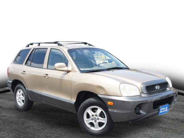Photo of 2004 Hyundai Santa Fe