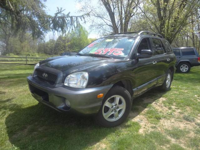 Photo of 2002 Hyundai Santa Fe