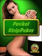 Flash internet casino gambling site