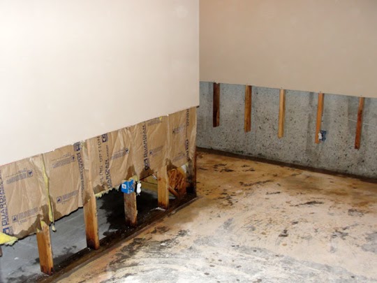 Mold Removal Furniture