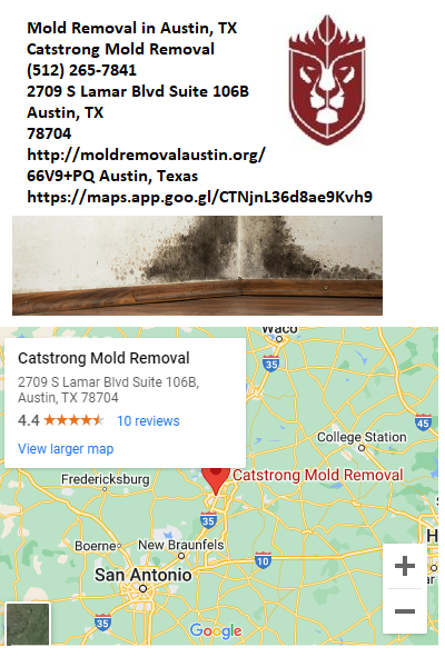 Mold Removal House