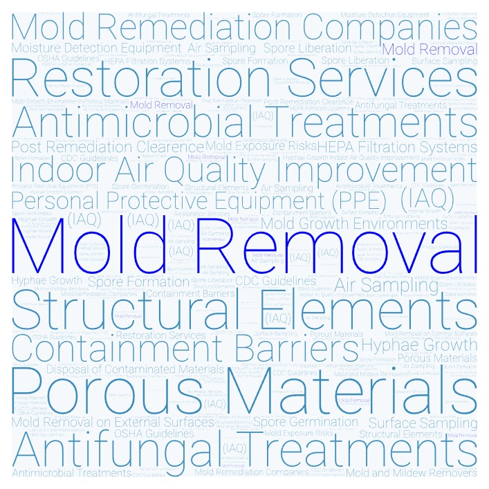 Mold Removal Ductwork