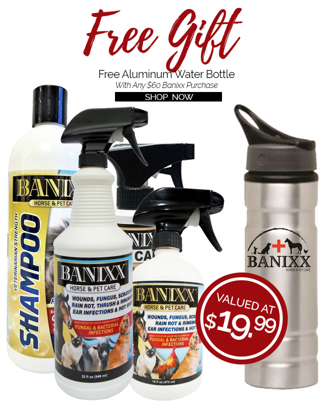 Banixx Horse & Pet Care