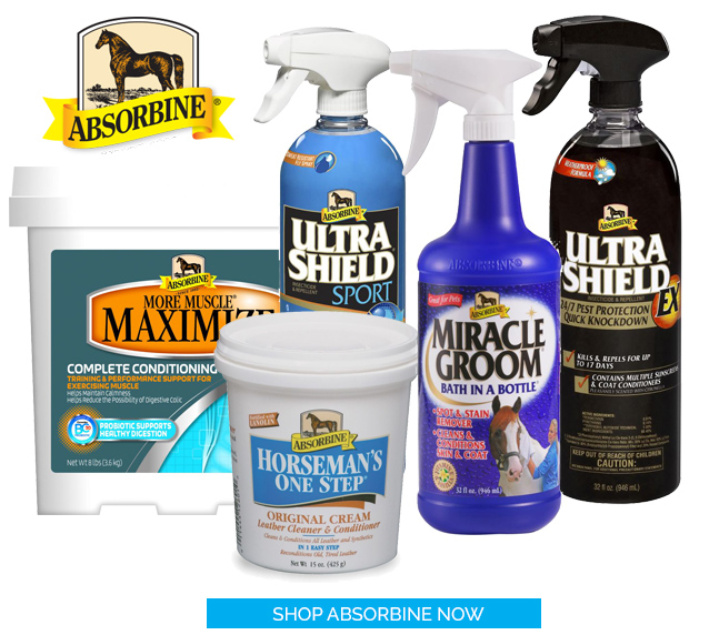 Shop Absorbine