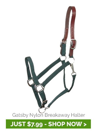 Gatsby Classic Nylon Breakaway Halter With Snap